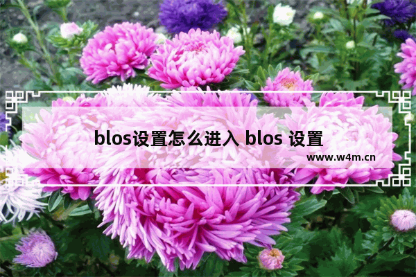 blos设置怎么进入 blos 设置