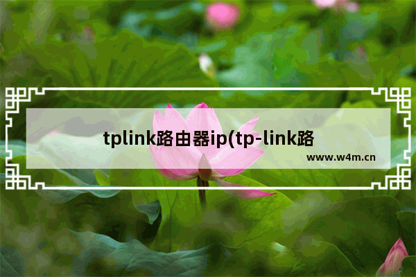 tplink路由器ip(tp-link路由器ip设置方法)