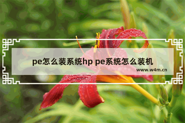 pe怎么装系统hp pe系统怎么装机