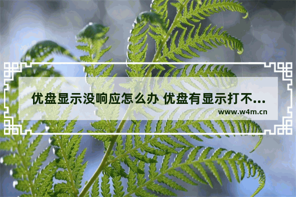 优盘显示没响应怎么办 优盘有显示打不开了怎么办