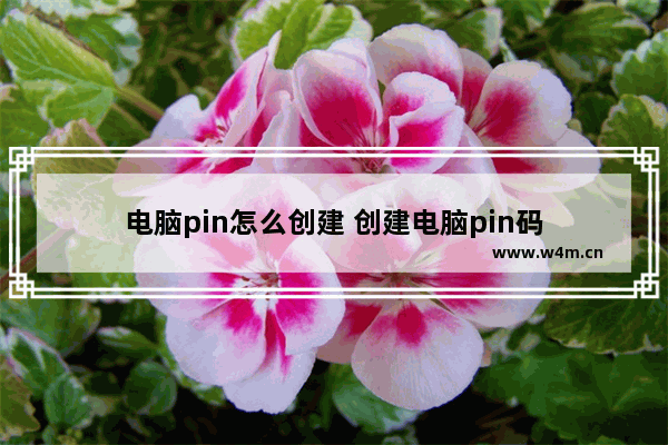 电脑pin怎么创建 创建电脑pin码