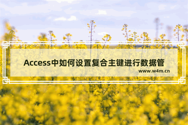 Access中如何设置复合主键进行数据管理？