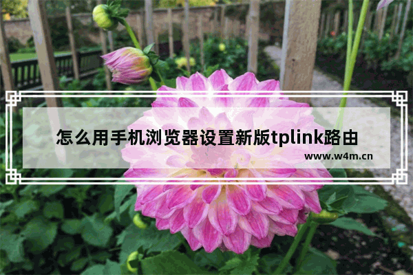 怎么用手机浏览器设置新版tplink路由器