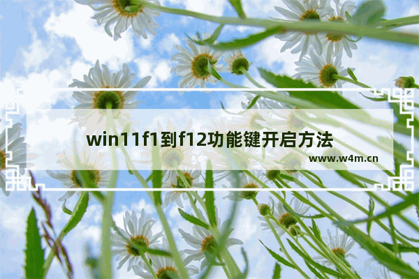 win11f1到f12功能键开启方法