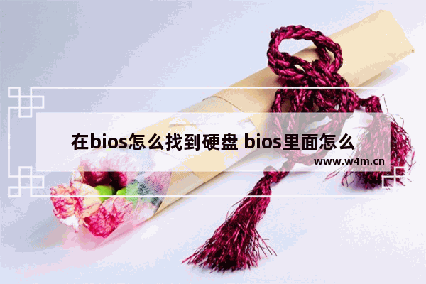 在bios怎么找到硬盘 bios里面怎么找到硬盘