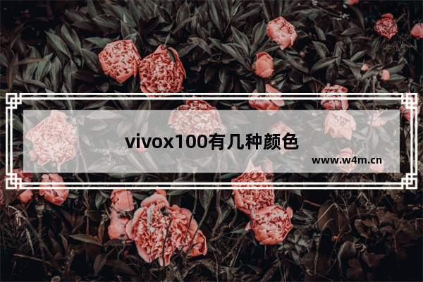 vivox100有几种颜色