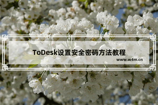 ToDesk设置安全密码方法教程