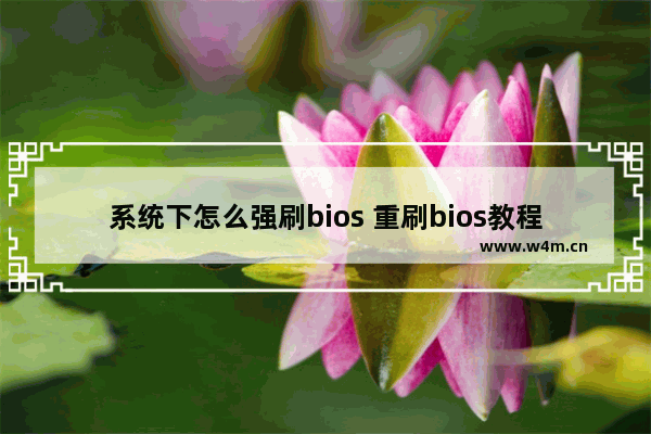 系统下怎么强刷bios 重刷bios教程