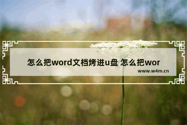 怎么把word文档烤进u盘 怎么把word文档烤进u盘里面