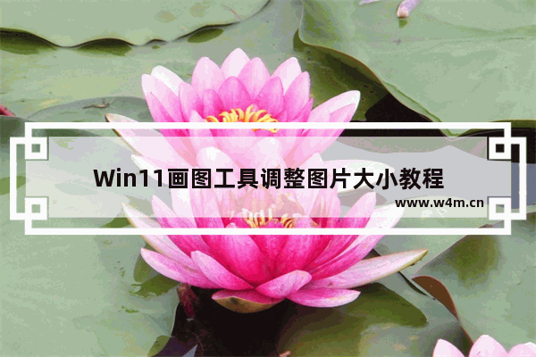 Win11画图工具调整图片大小教程