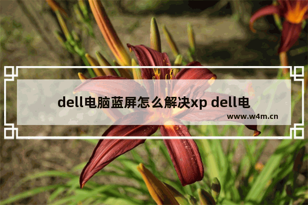 dell电脑蓝屏怎么解决xp dell电脑蓝屏怎么解决0X0000007B