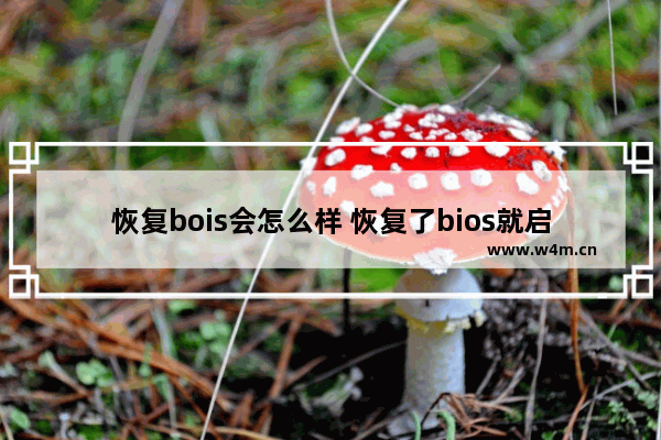 恢复bois会怎么样 恢复了bios就启动不了