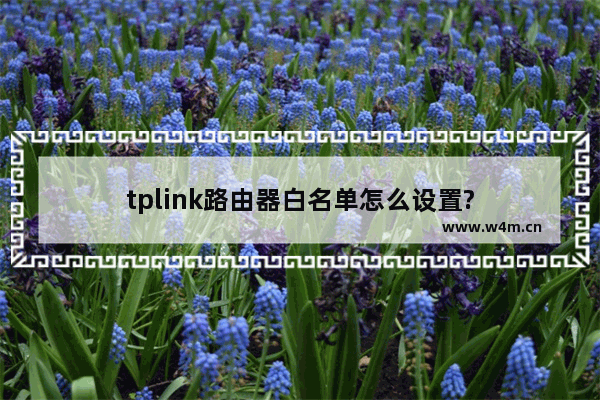 tplink路由器白名单怎么设置?