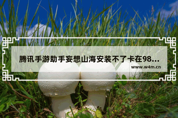 腾讯手游助手妄想山海安装不了卡在98不动了如何解决