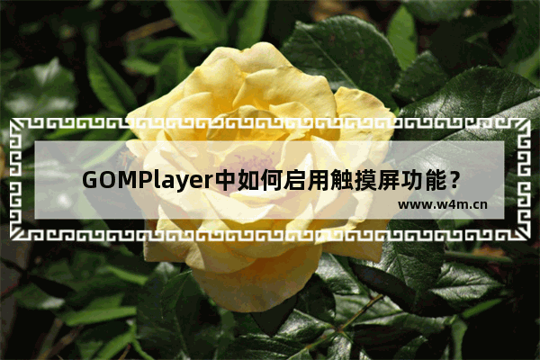 GOMPlayer中如何启用触摸屏功能？GOMPlayer触摸屏功能使用方法介绍