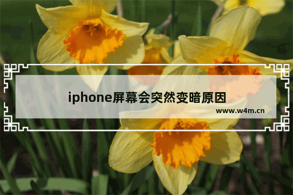 iphone屏幕会突然变暗原因