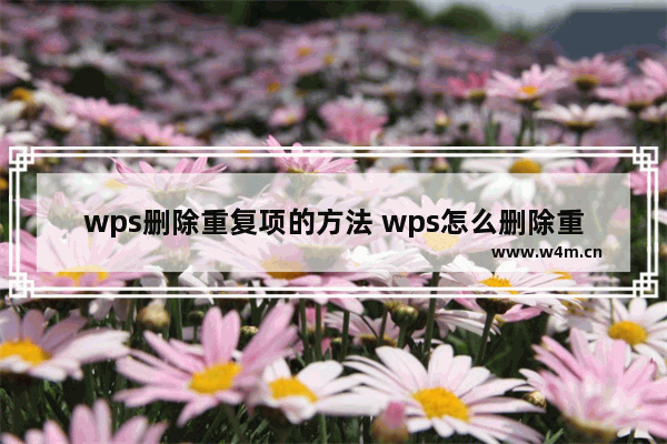 wps删除重复项的方法 wps怎么删除重复数据