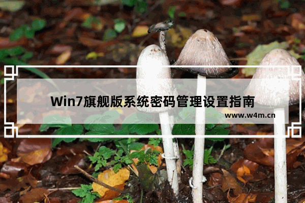 Win7旗舰版系统密码管理设置指南