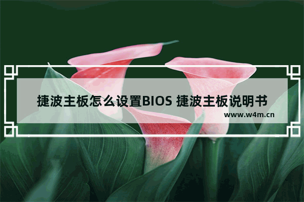 捷波主板怎么设置BIOS 捷波主板说明书