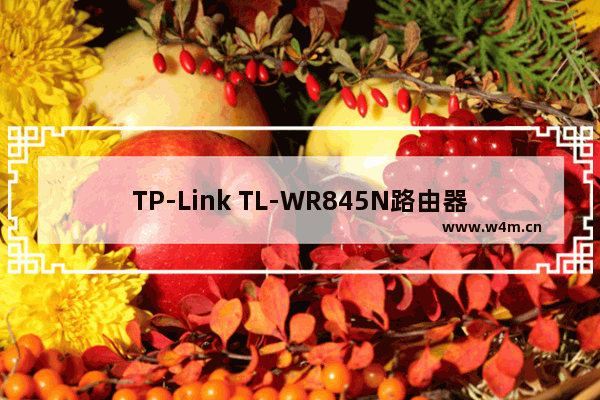 TP-Link TL-WR845N路由器无线网络名称和密码设置教程