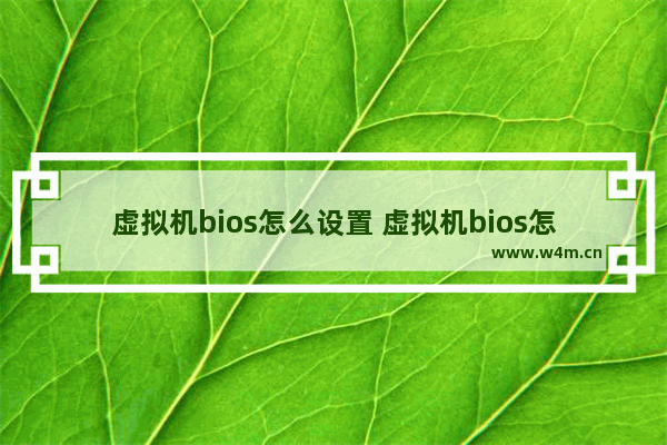 虚拟机bios怎么设置 虚拟机bios怎么设置才能正常启动电脑