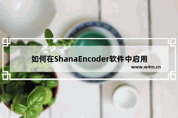 如何在ShanaEncoder软件中启用HDR到SDR色彩转换