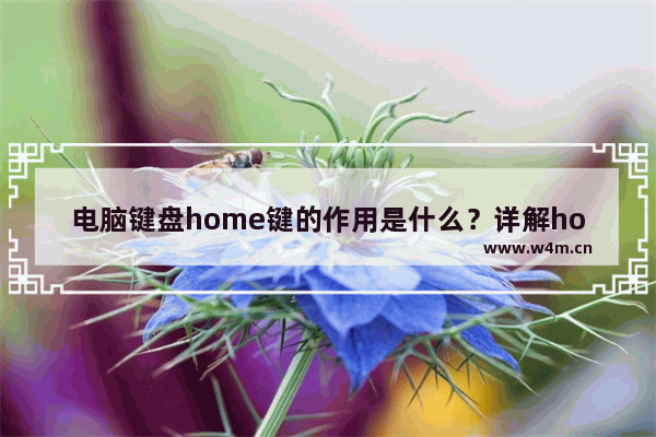 电脑键盘home键的作用是什么？详解home键的用途