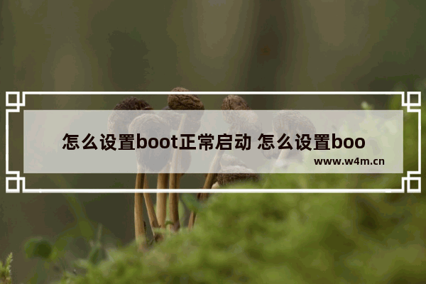 怎么设置boot正常启动 怎么设置boot启动项