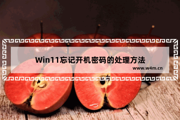 Win11忘记开机密码的处理方法