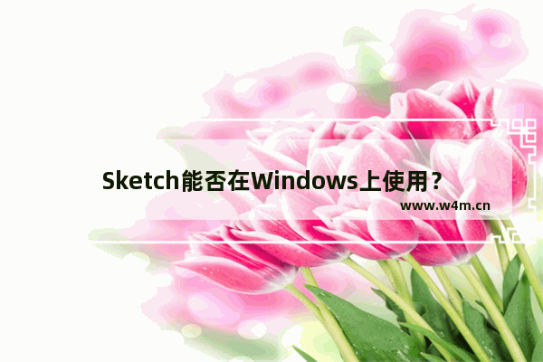 Sketch能否在Windows上使用？Sketch在Windows上的使用介绍