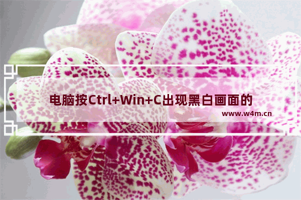 电脑按Ctrl+Win+C出现黑白画面的修复方法？如何解决电脑按下Ctrl+Win+C出现黑白画面的问题？