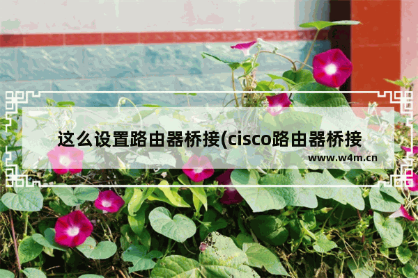 这么设置路由器桥接(cisco路由器桥接设置)