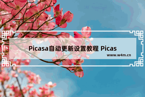 Picasa自动更新设置教程 Picasa如何开启自动更新功能