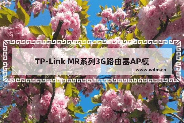 TP-Link MR系列3G路由器AP模式设置上网