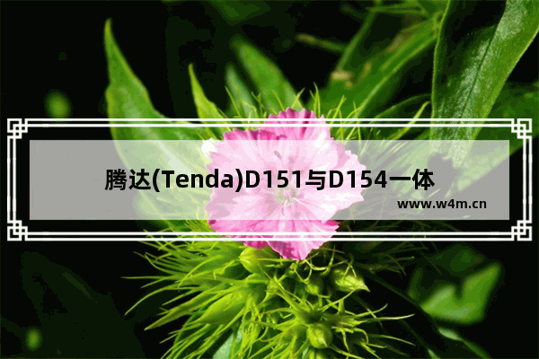 腾达(Tenda)D151与D154一体机路由猫模式设置上网