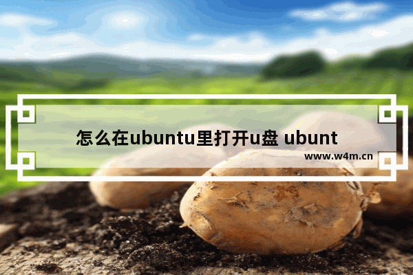 怎么在ubuntu里打开u盘 ubuntu打开u盘文件