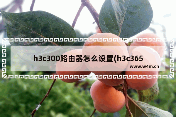 h3c300路由器怎么设置(h3c365路由器怎么设置)