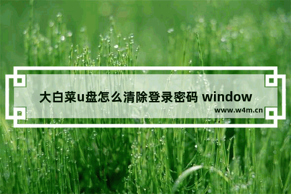 大白菜u盘怎么清除登录密码 windows7旗舰版大白菜u盘删除密码