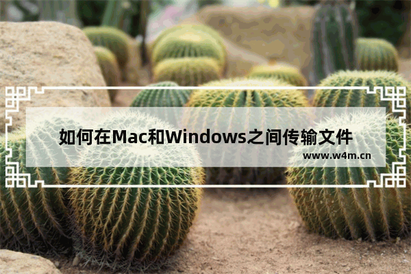 如何在Mac和Windows之间传输文件？Mac和Windows文件传输设置方法介绍