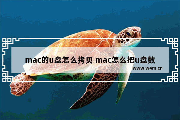 mac的u盘怎么拷贝 mac怎么把u盘数据导出来