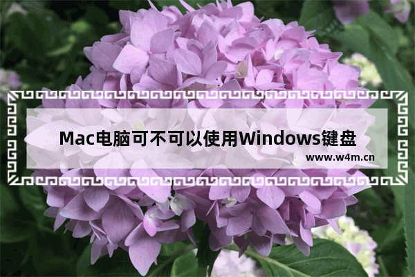 Mac电脑可不可以使用Windows键盘？详解Mac使用Windows键盘的方法