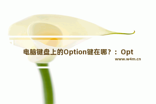 电脑键盘上的Option键在哪？：Option键在键盘上的位置图解