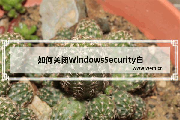 如何关闭WindowsSecurity自动启动：WindowsSecurity关闭自动启动的详细步骤