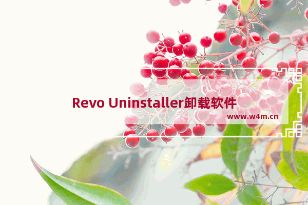 Revo Uninstaller卸载软件的步骤