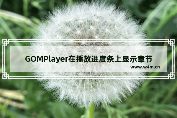 GOMPlayer在播放进度条上显示章节标志的设置方法