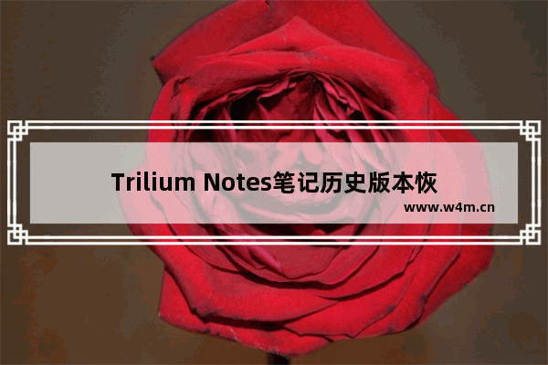 Trilium Notes笔记历史版本恢复技巧