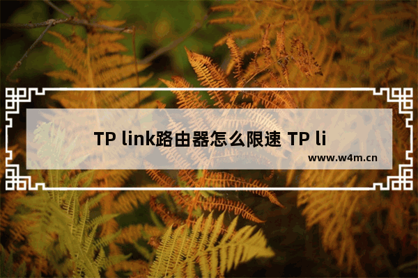 TP link路由器怎么限速 TP link路由器设置流量大小方法