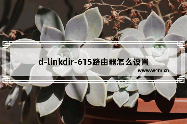 d-linkdir-615路由器怎么设置(dlinkdir619l路由器设置教程)