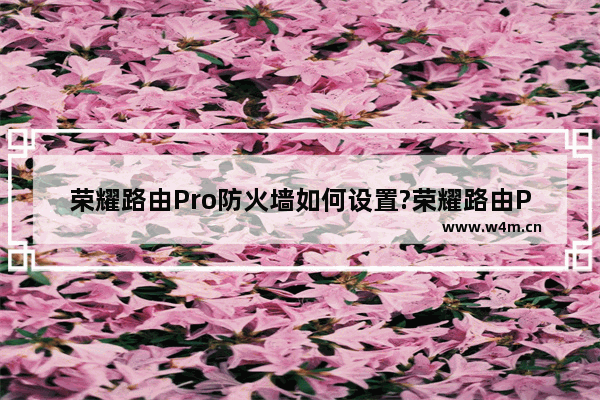 荣耀路由Pro防火墙如何设置?荣耀路由Pro设置防火墙的方法