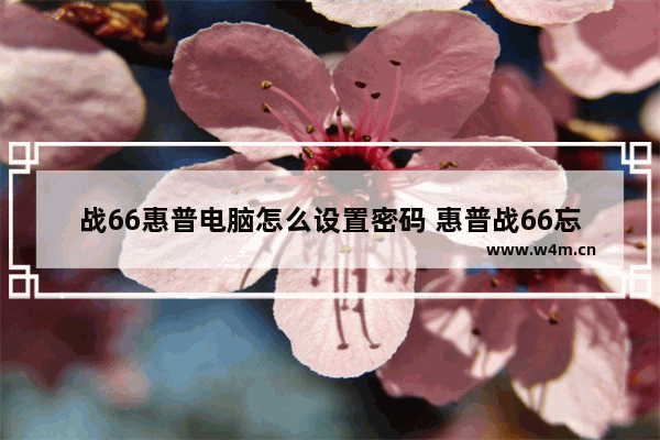 战66惠普电脑怎么设置密码 惠普战66忘记密码怎么开机